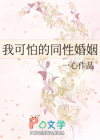 我可怕的同性婚姻