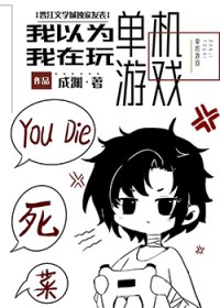 我不是在玩单机游戏吗